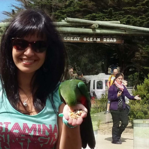 Experience on the Great Ocean Road