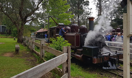 Dandenong Ranges Day tour