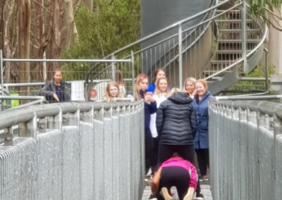 Spiral steps at Otway Fly Adventure
