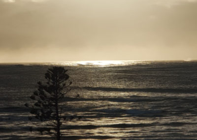 Morning sunrise on Great Ocean Road tour with Around And About