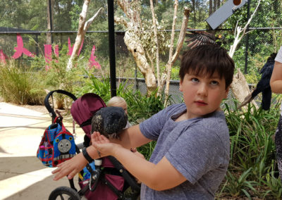 Feeding a black cockatoo