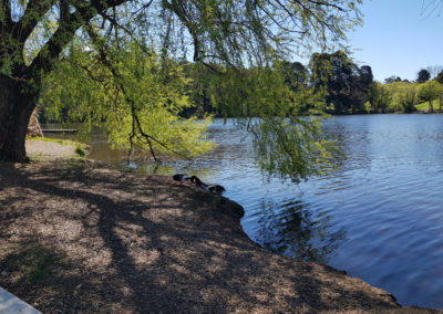 Daylesford lake