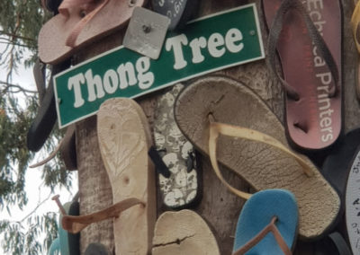 Thong tree