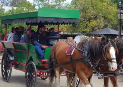 Horse and carriage Echuca