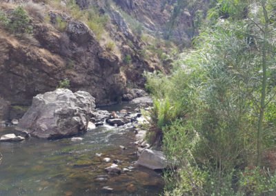 Grampians river down stream
