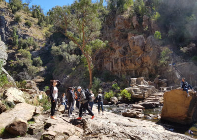 Mackenzie's Falls rocks