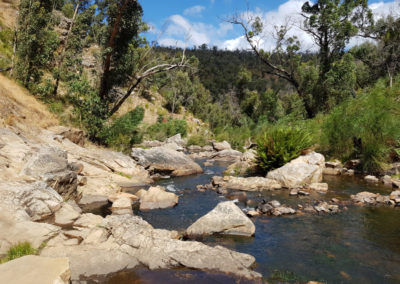 Stream at Mackenzie falls