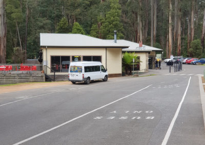 Dandenong ranges tour