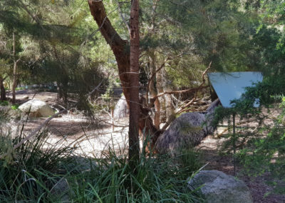 the walk Healesville wildlife sanctuary