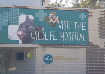 Visit the wildlife hospital