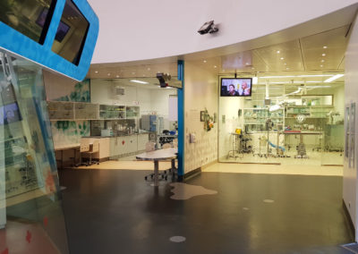 Inside animal hospital