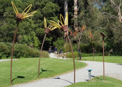 Gardens in the Healesville wildlife sanctuary