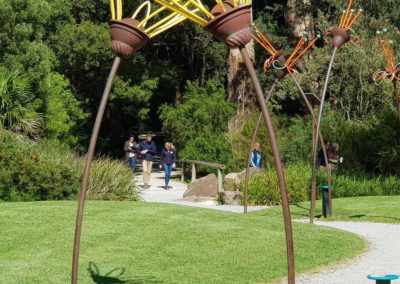 Walking through Healesville Sanctuary