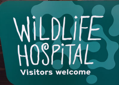 Wildlife hospital Visitors welcome