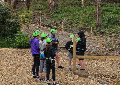 Where to next at Livewire