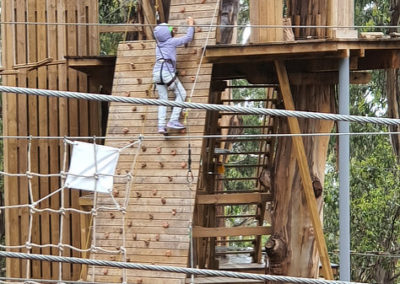 Climbing wall Livewire Lorne