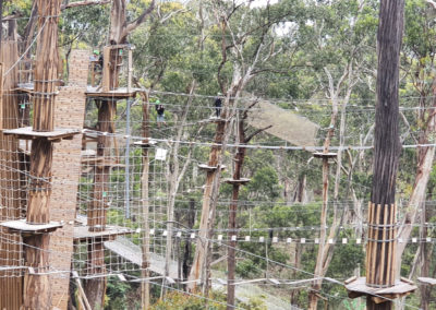 The course at Livewire