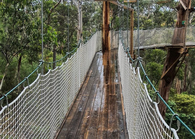 The tree walk at Lorne
