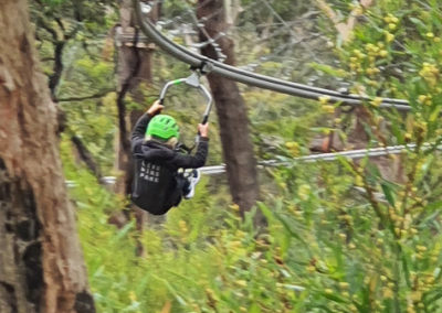 Elevated Livewire Park