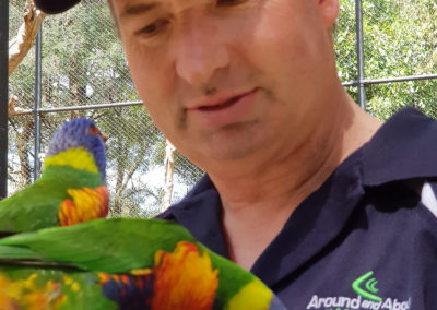 Feeding lorikeets at Heaville wildlife sanctuary