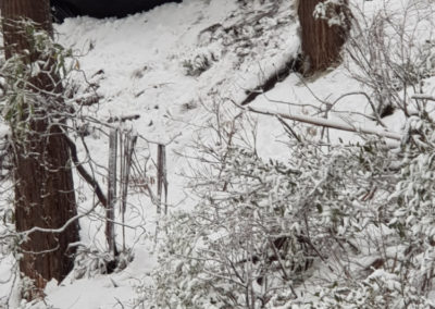 Car rolled over on Mt Buller summit road