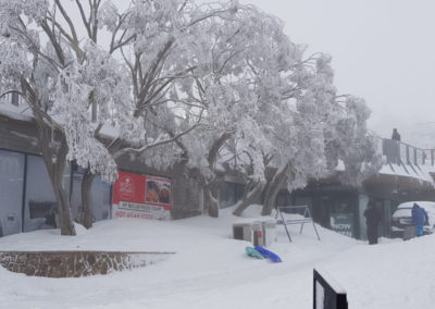 Trees covered in Snow Mt Buller village