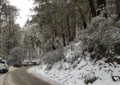 Very bust road to car park Mt Buller