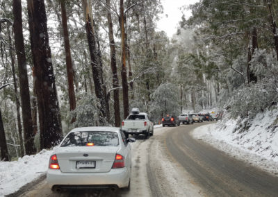 Busy road heading up to Mt Buller