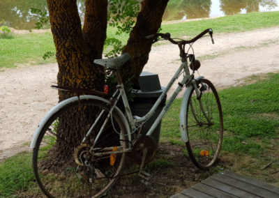 Bicycle at Lavandula farm