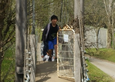Bridge crossing at Lavandula farm