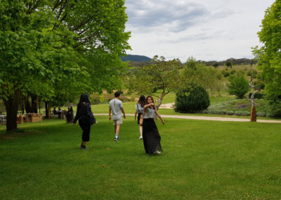 gardens at Lavandula Farm