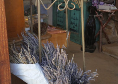 Lavender at Lavandula Farm