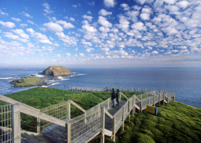 Board walk at the Nobbies