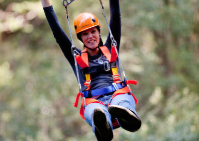 No hands flying over trees at Otway Fly