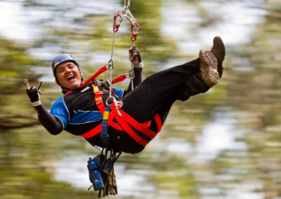 Flying between the tree