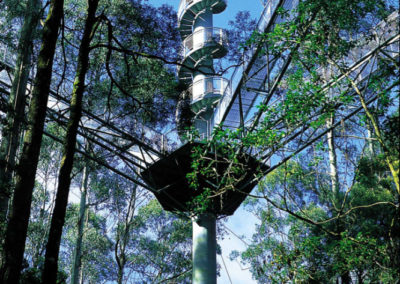 Spiral tower at the Otway Fly treetop walk
