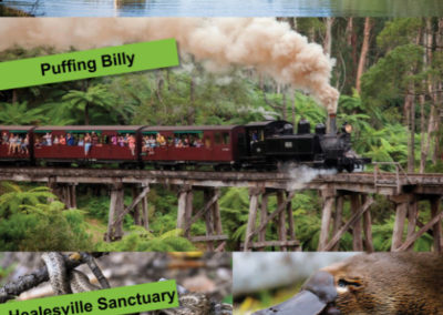 Best small group tours in Melbourne