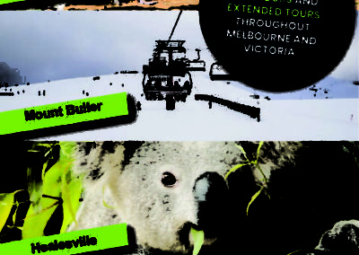 We specialize in small group tours