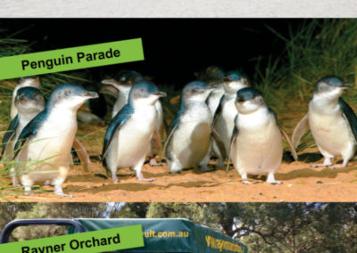 Around And About Tours