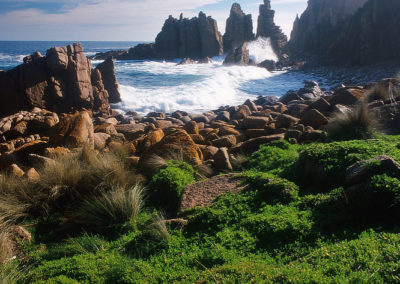 Phillip Island Nobbies