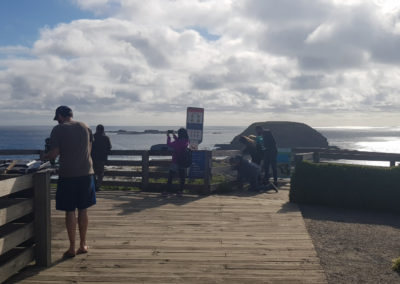 The Nobbies Phillip Island