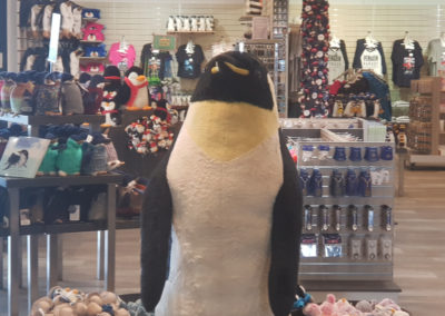 Penguin shop at Penguin parade