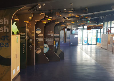 Inside Penguin Parade centre