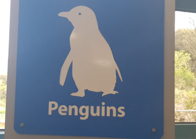 Penguin warning on Phillip Island
