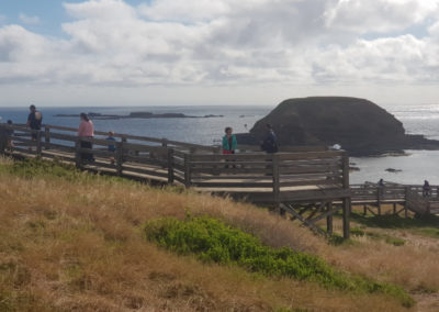 Nobbies Lookout Phillip Island