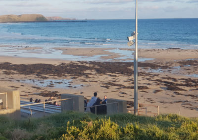 Penguin Parade Phillip Island