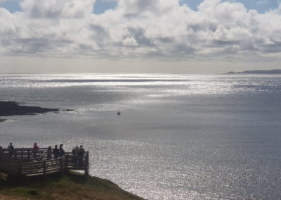 lookout on Phillip Island with Around And About