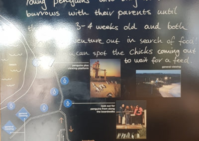 Penguin information board at Phillip Island