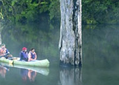 Looking for Platypus on Lake Elizabeth