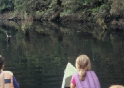 Lake Elizabeth forest